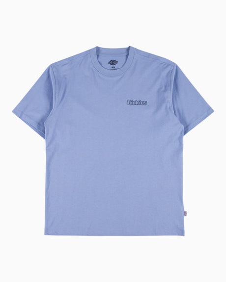 Dickies Fairlawn SS Erkek T-Shirt