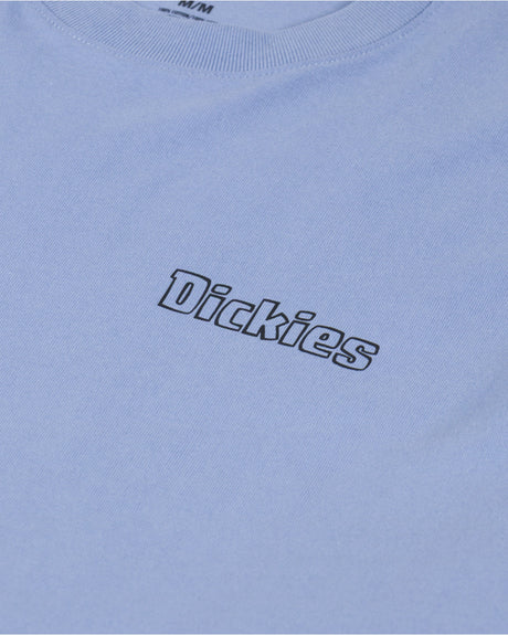 Dickies Fairlawn SS Erkek T-Shirt