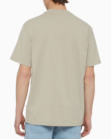 Dickies Summerdale Erkek T-Shirt