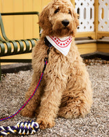 HAY Design Dogs Leash Braided