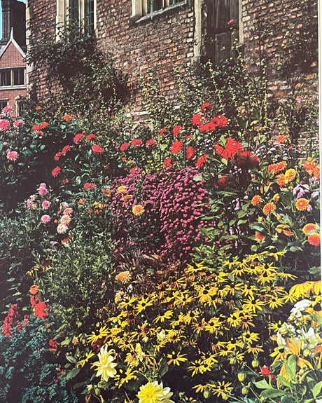 Pestil Books for vitruta Flower Arranging