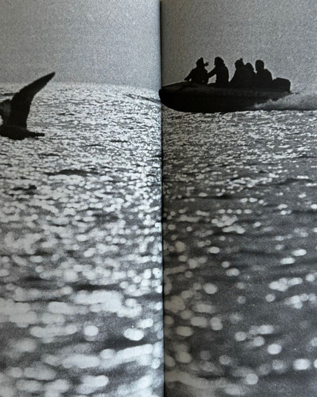 Pestil Books for vitruta Greenpeace