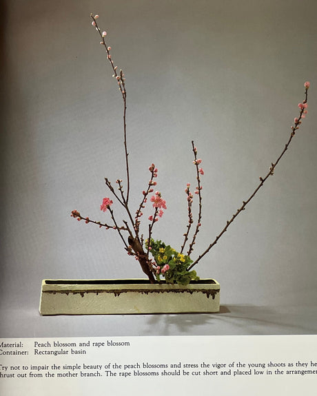 Pestil Books for vitruta Ikebana With Seasons