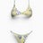 Salty People Salty Chilly Bikini Set V.0288