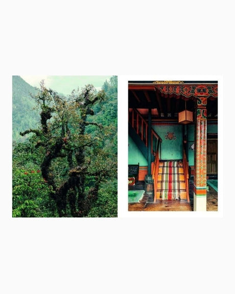 vitruta Book Selection Kinfolk Wilderness